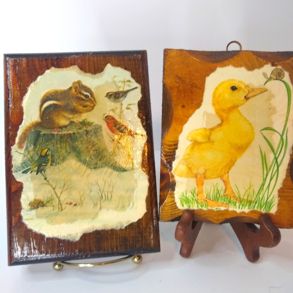 Vintage woodland critters shellac handmade wall decor birds duck chipmunk snail